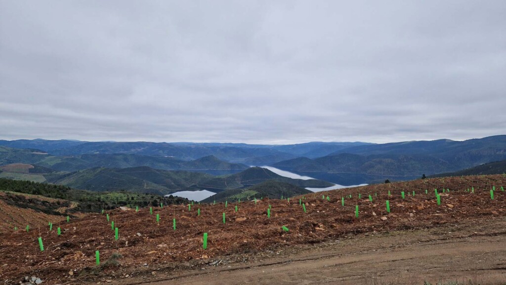 PROJETO-IMPLEMENTADO-EM-ALFÂNDEGA-DA-FÉ-VENCE-PRÉMIO-NACIONAL-DE-SUSTENTABILIDADE