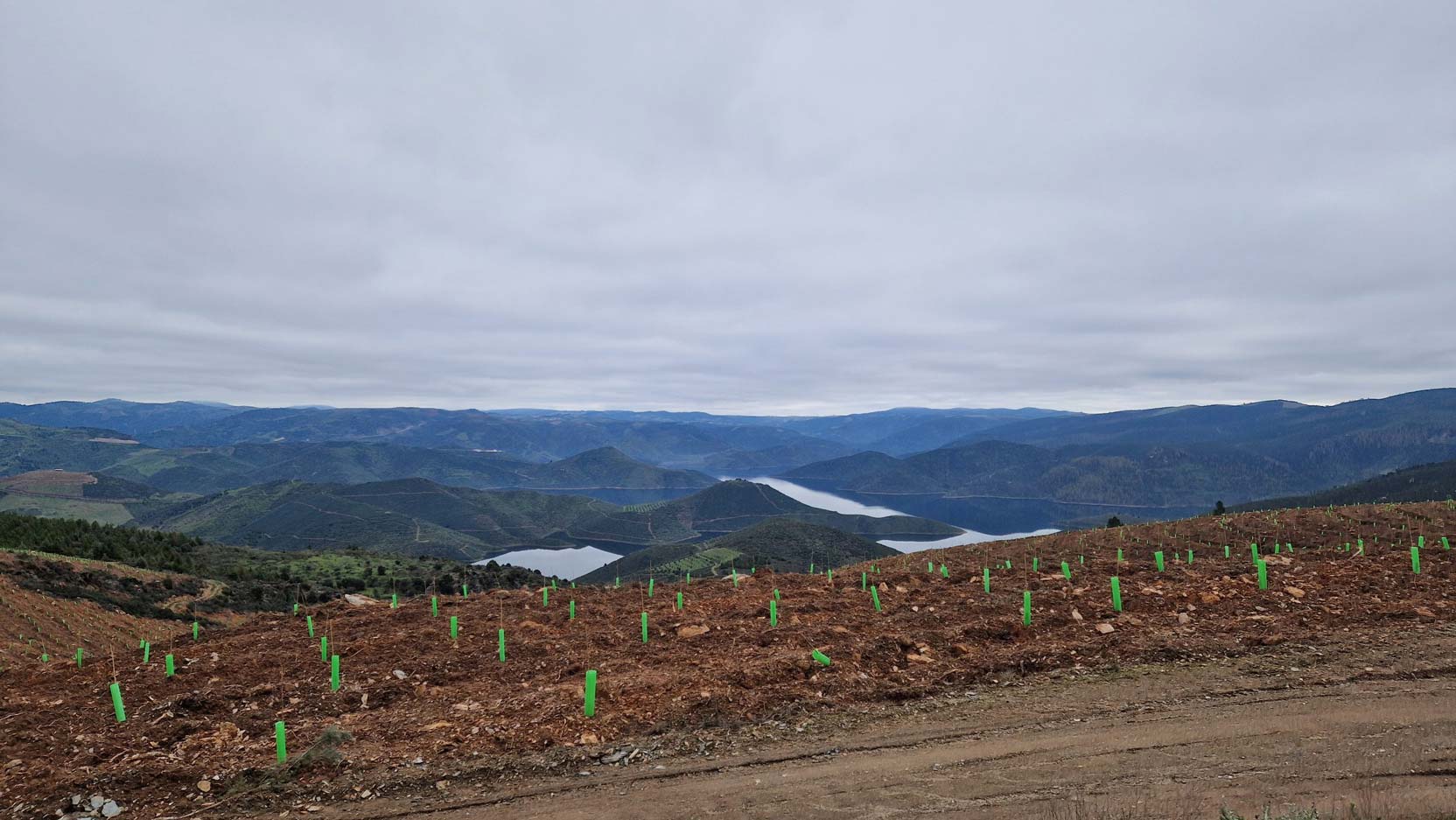 PROJETO-IMPLEMENTADO-EM-ALFÂNDEGA-DA-FÉ-VENCE-PRÉMIO-NACIONAL-DE-SUSTENTABILIDADE